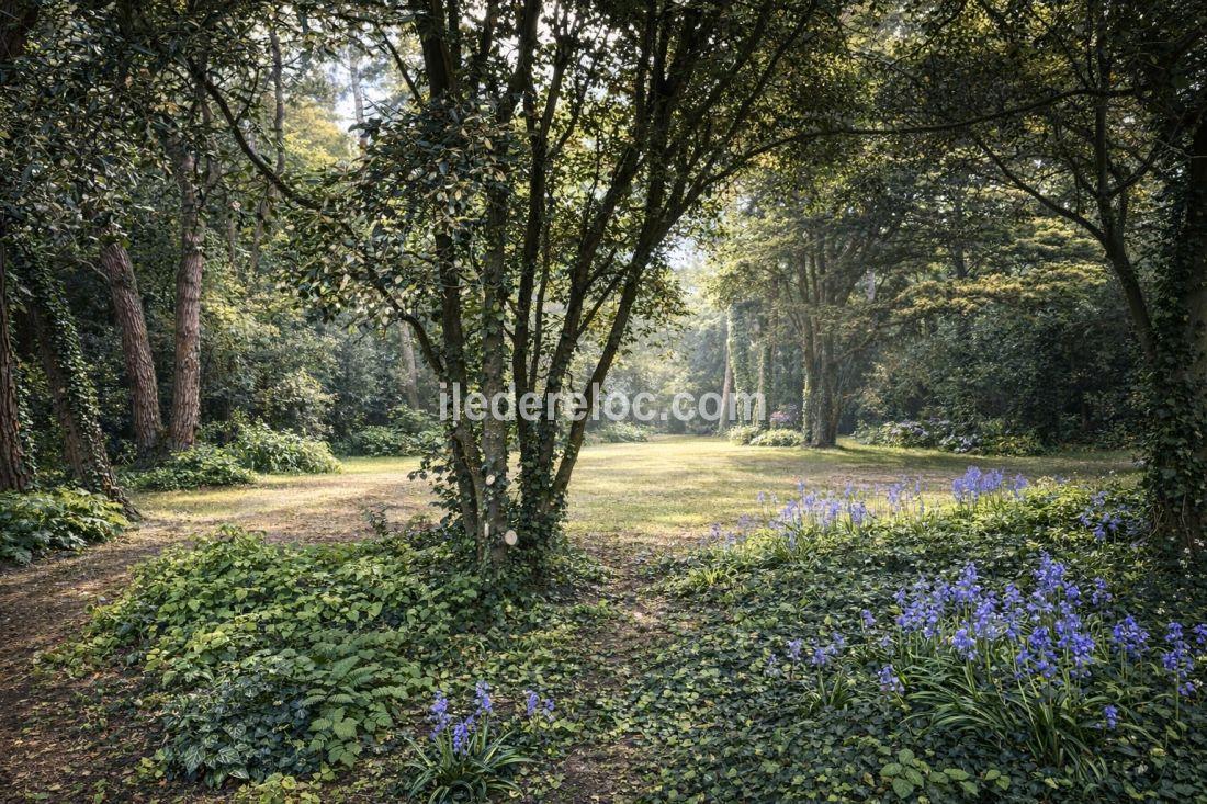 Photo 70: An accomodation located in Le Bois-Plage-en-R&eacute; on ile de R&eacute;.