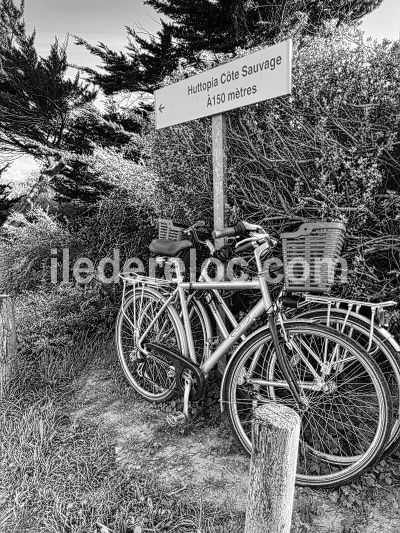 Photo 56: An accomodation located in Sainte-Marie-de-Ré on ile de Ré.