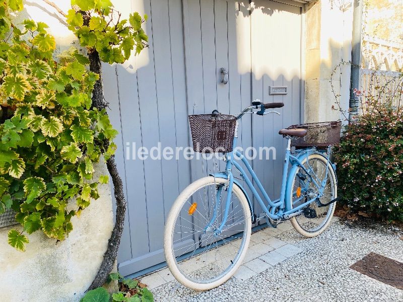 Photo 27: An accomodation located in Saint-Martin-de-Ré on ile de Ré.