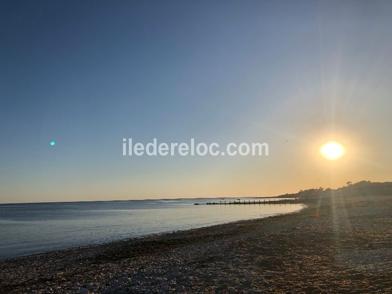 Photo 30: An accomodation located in Ars en Ré on ile de Ré.