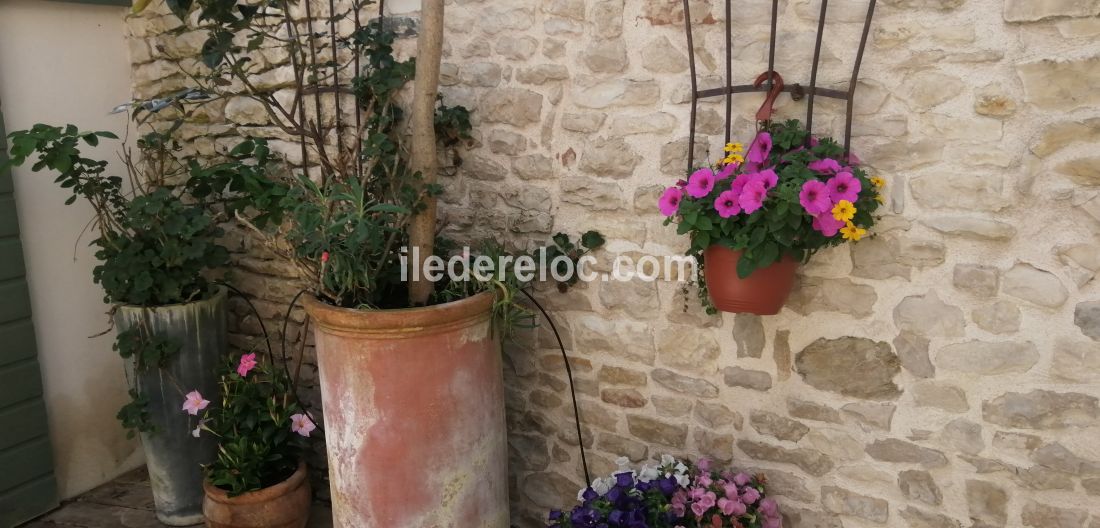 Photo 15: An accomodation located in Le Bois-Plage-en-Ré on ile de Ré.