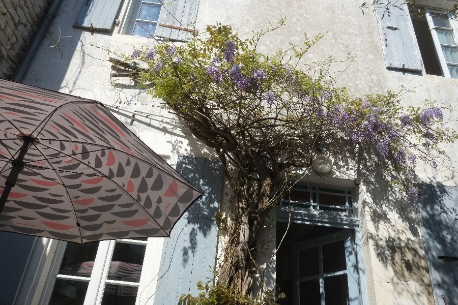 Photo 22: An accomodation located in Sainte-Marie-de-Ré on ile de Ré.