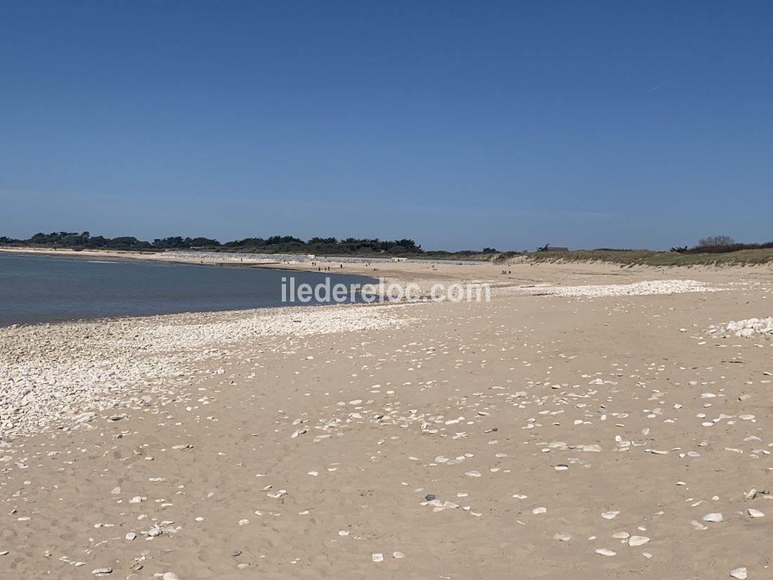 Photo 45: An accomodation located in Sainte-Marie-de-Ré on ile de Ré.