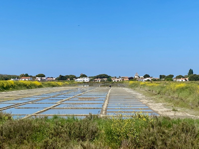 Photo 31: An accomodation located in Loix on ile de Ré.