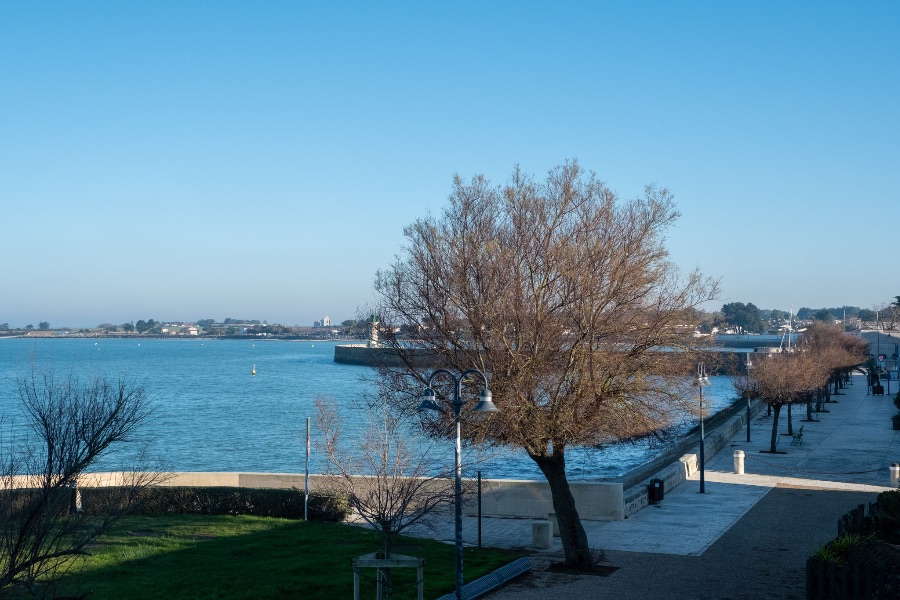 Photo 13: An accomodation located in La Flotte-en-Ré on ile de Ré.