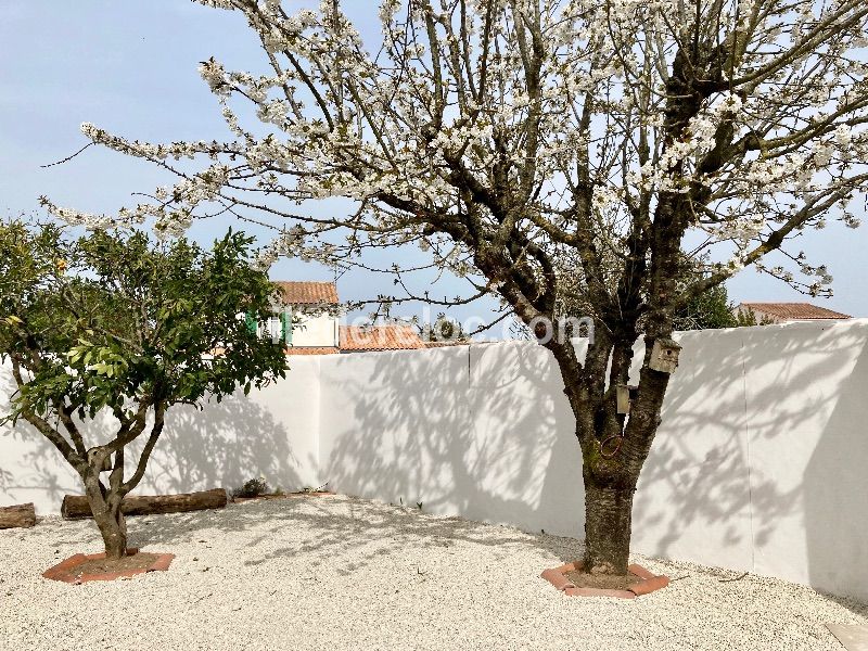 Photo 25: An accomodation located in Rivedoux-Plage on ile de Ré.