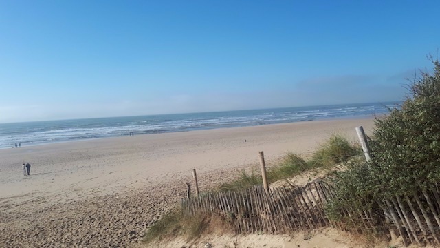 Photo 17: An accomodation located in Le Bois-Plage-en-Ré on ile de Ré.