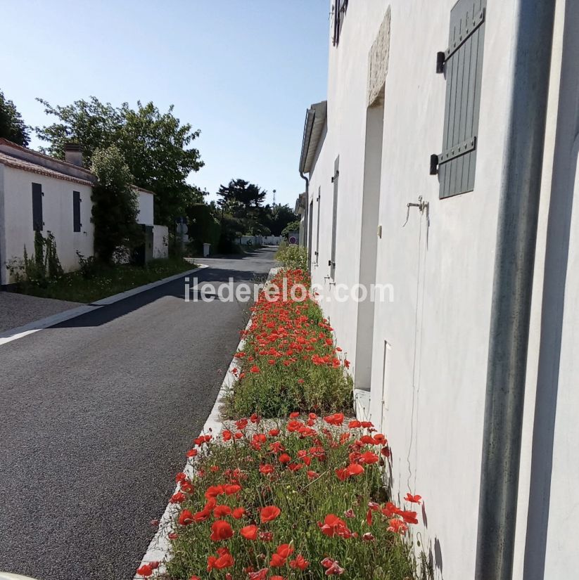 Photo 17: An accomodation located in Saint-Clément-des-Baleines on ile de Ré.