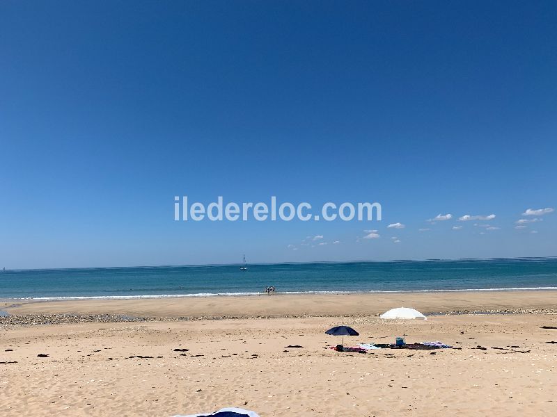 Photo 15: An accomodation located in Saint-Clément-des-Baleines on ile de Ré.