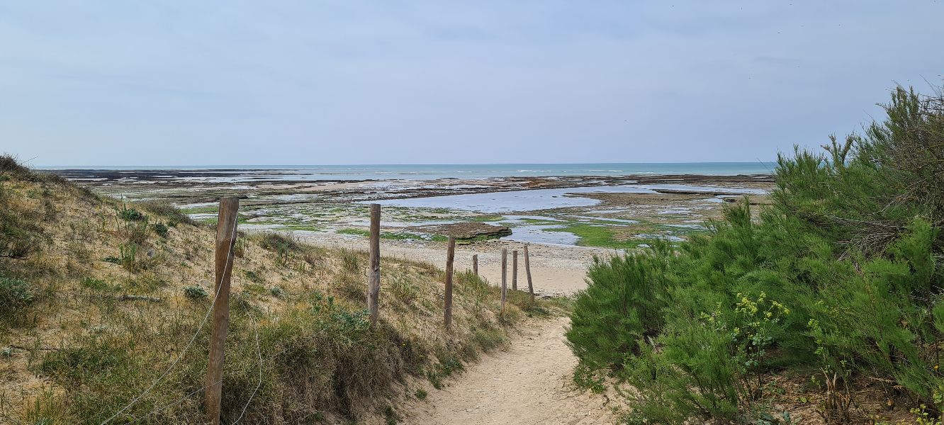 Photo 4: An accomodation located in Saint-Clément-des-Baleines on ile de Ré.