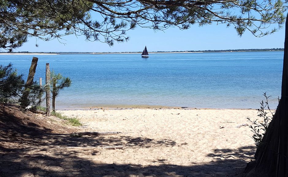 Photo 33: An accomodation located in La Couarde-sur-mer on ile de Ré.