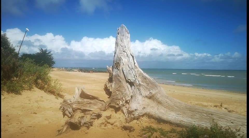 Photo 30: An accomodation located in Le Bois-Plage-en-Ré on ile de Ré.