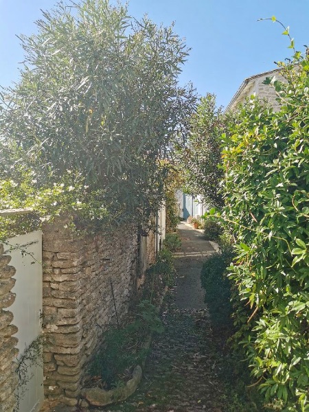 Photo 7: An accomodation located in Les Portes-en-Ré on ile de Ré.