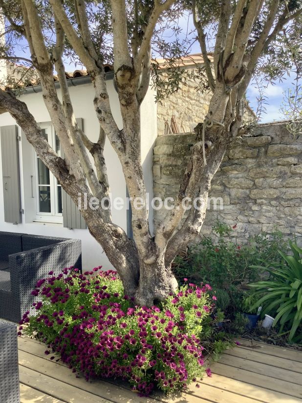 Photo 58: An accomodation located in Saint-Martin-de-R&eacute; on ile de R&eacute;.