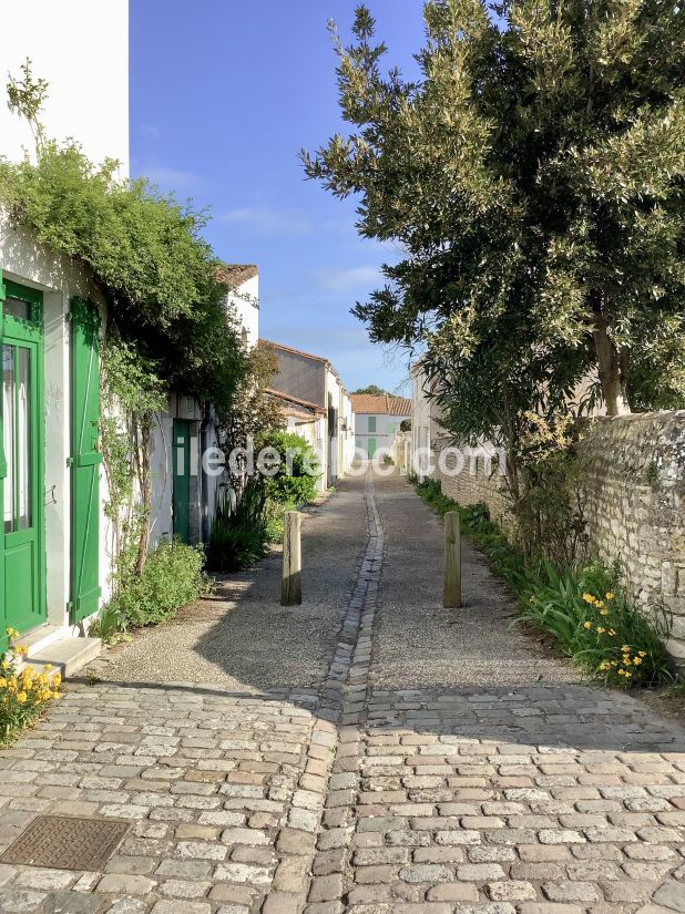 Photo 47: An accomodation located in Saint-Martin-de-Ré on ile de Ré.