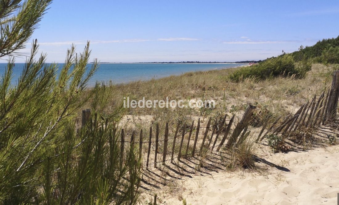 Photo 50: An accomodation located in Saint-Martin-de-Ré on ile de Ré.