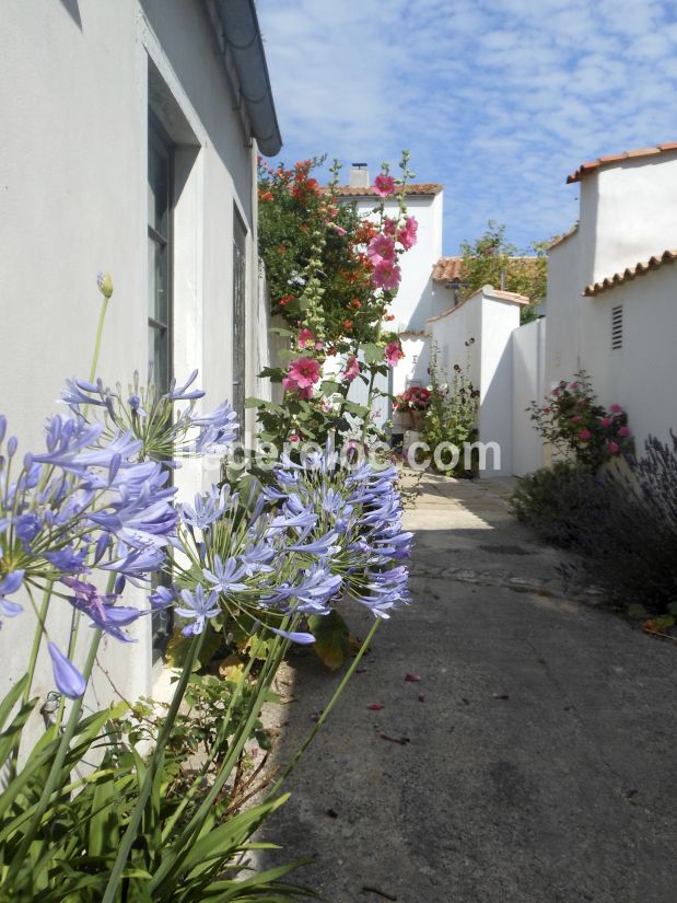 Photo 17: An accomodation located in Ars en Ré on ile de Ré.