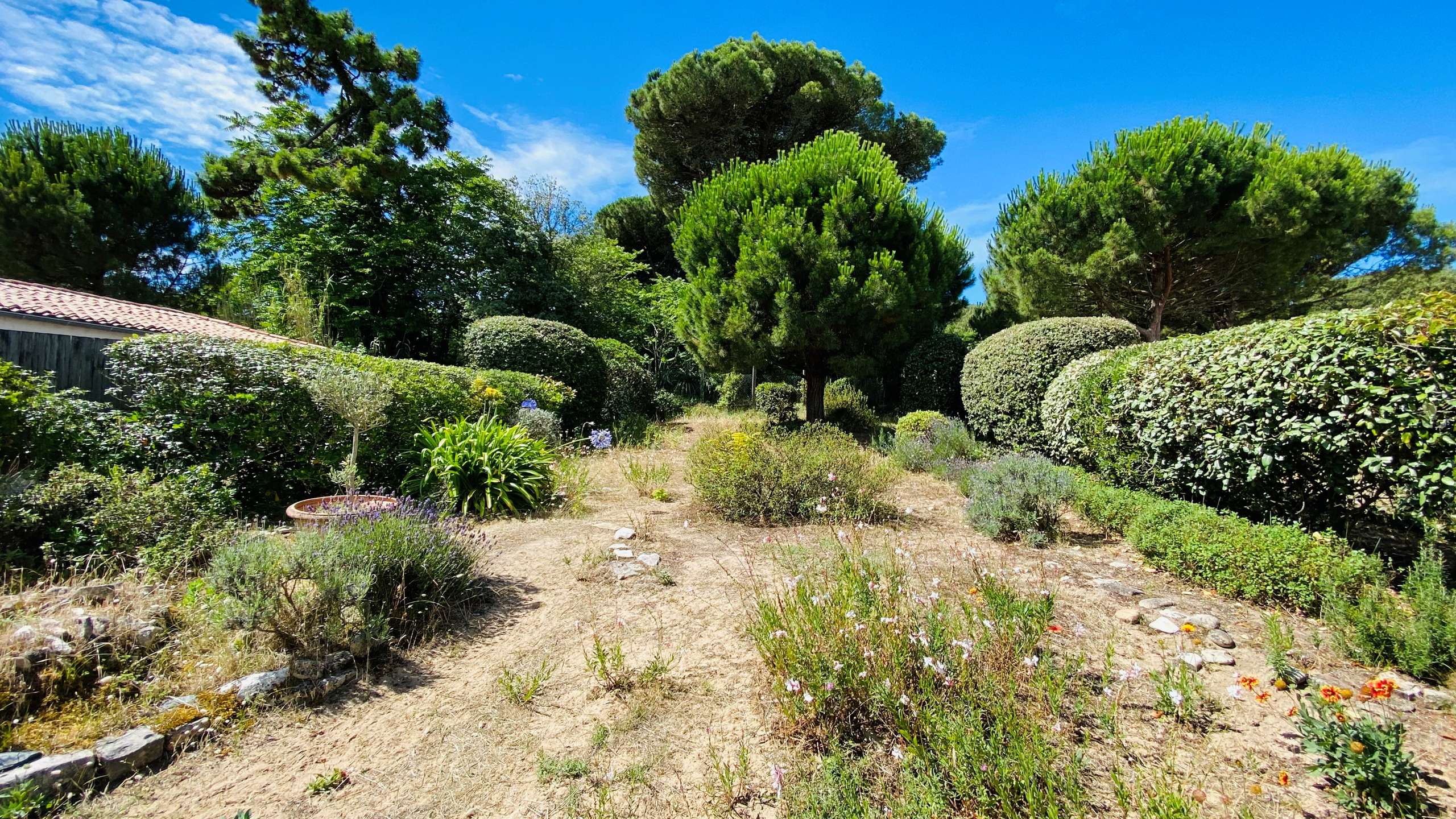 Photo 4: An accomodation located in La Couarde-sur-mer on ile de Ré.