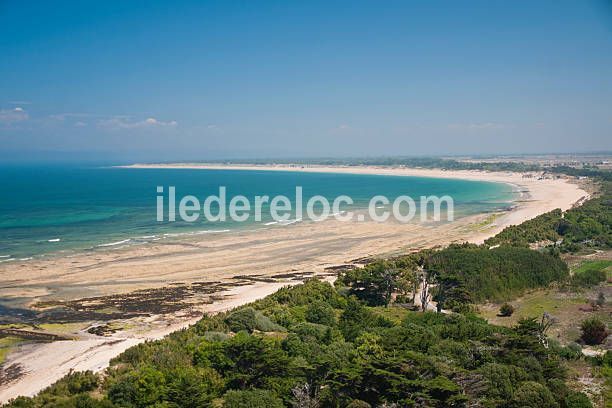 Photo 37: An accomodation located in Le Bois-Plage-en-Ré on ile de Ré.