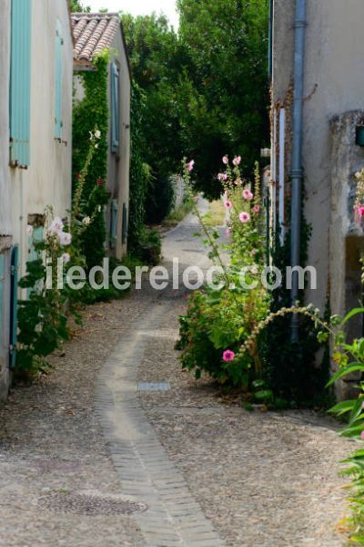 Photo 36: An accomodation located in Le Bois-Plage-en-Ré on ile de Ré.