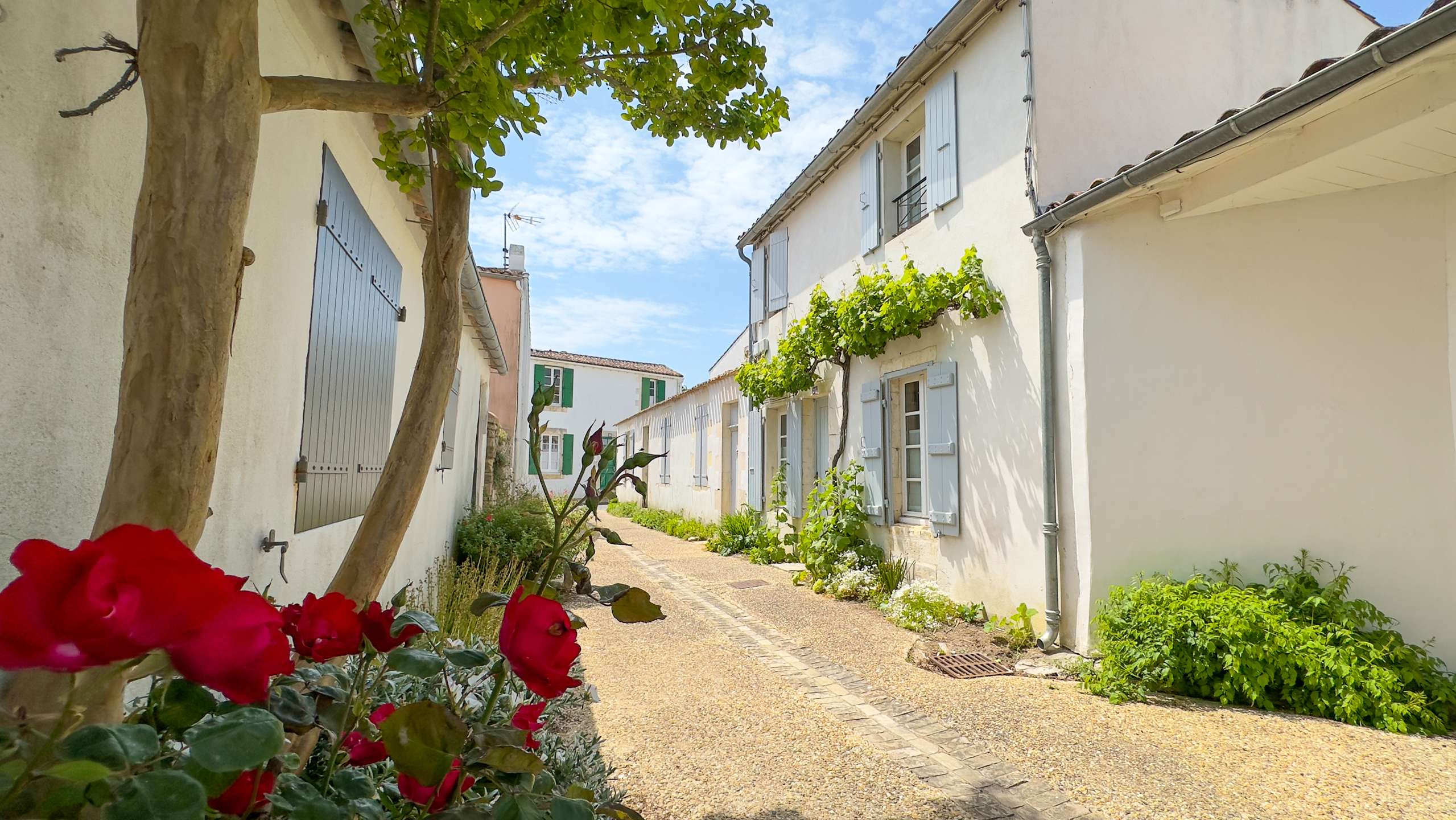 Photo 16: An accomodation located in La Couarde-sur-mer on ile de Ré.