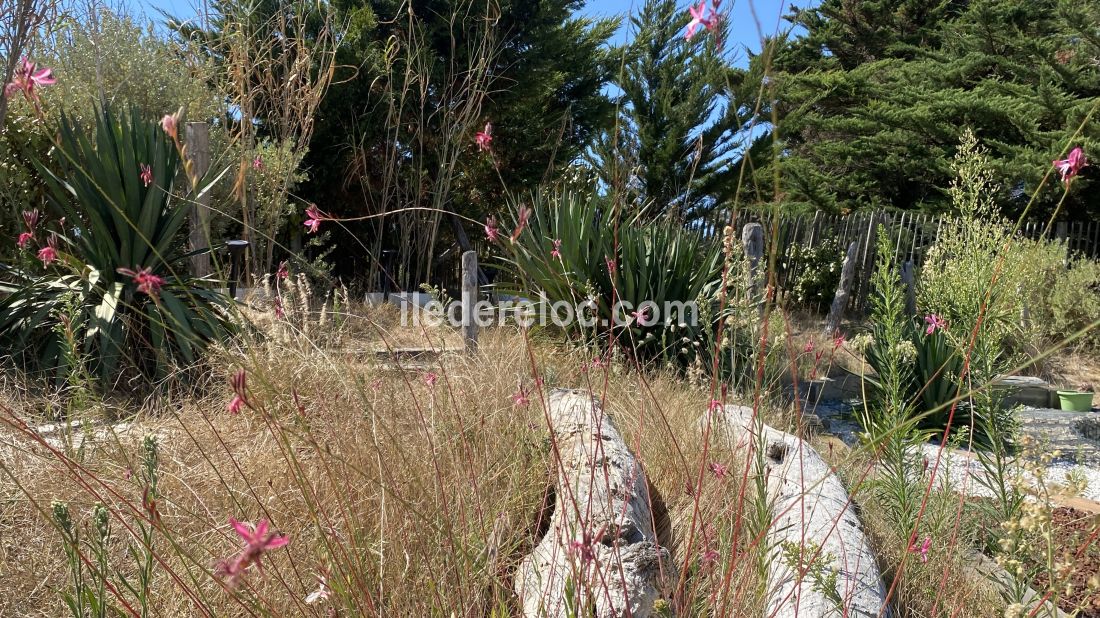 Photo 53: An accomodation located in Le Bois-Plage-en-R&eacute; on ile de R&eacute;.