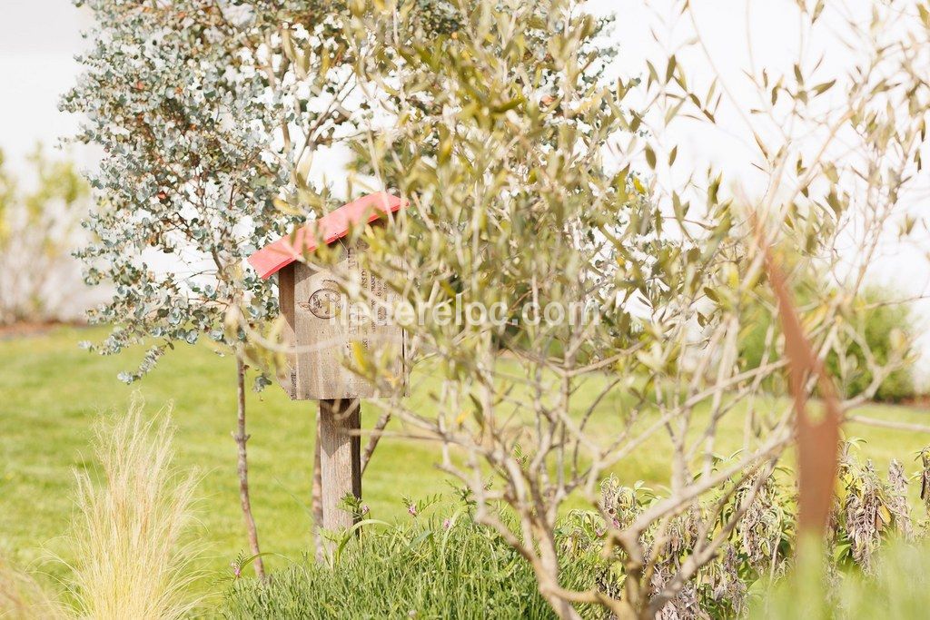 Photo 13: An accomodation located in Sainte-Marie-de-R&eacute; on ile de R&eacute;.
