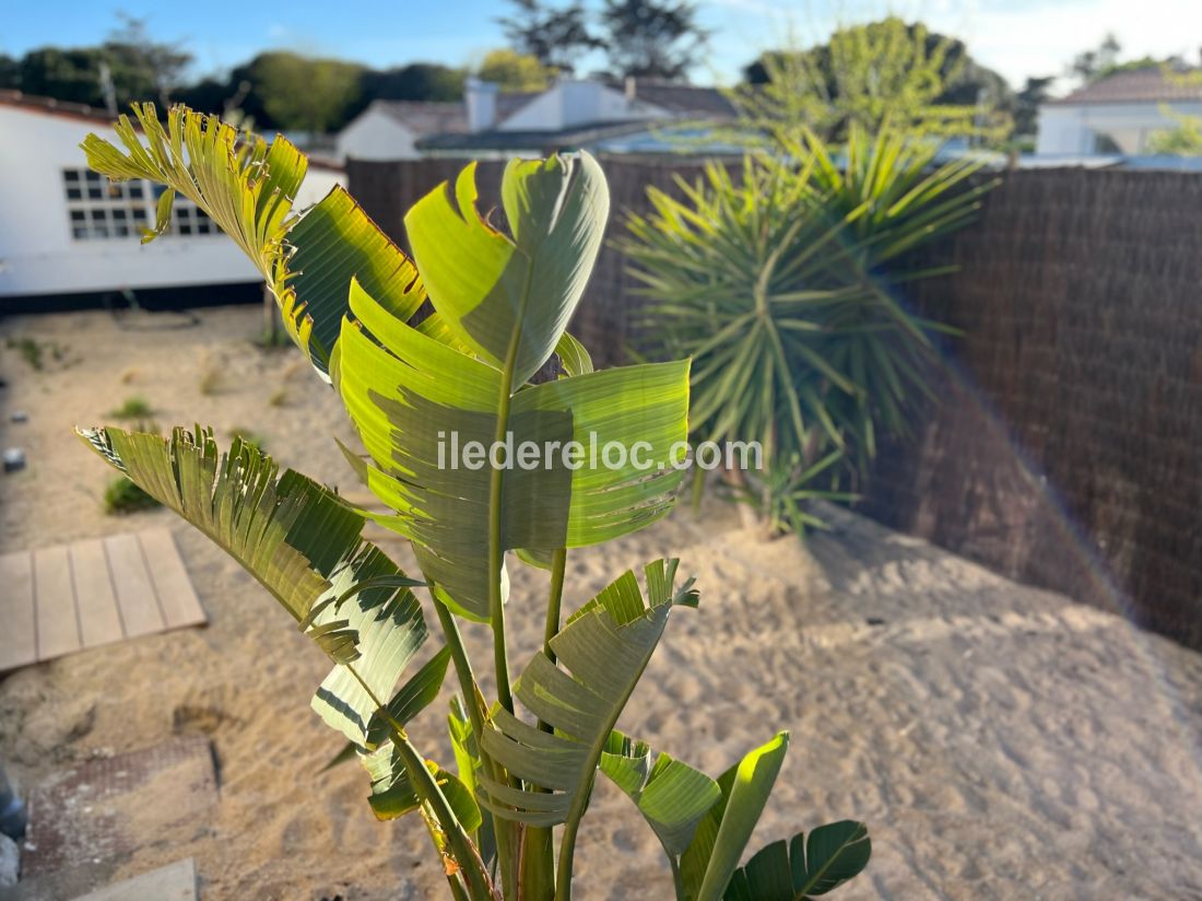 Photo 102: An accomodation located in La Couarde-sur-mer on ile de Ré.