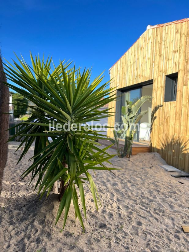 Photo 100: An accomodation located in La Couarde-sur-mer on ile de Ré.