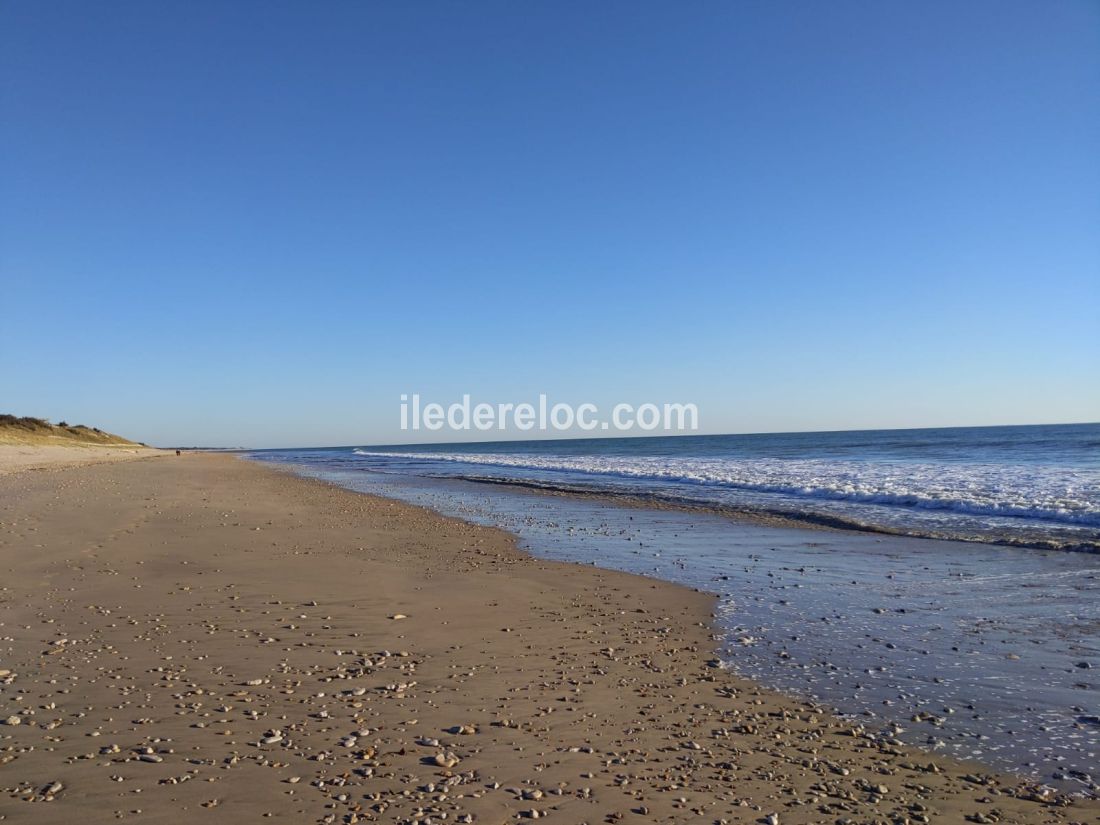 Photo 22: An accomodation located in La Couarde-sur-mer on ile de Ré.
