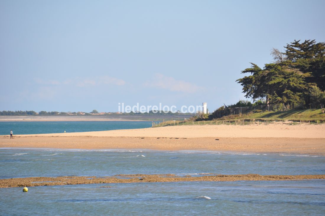 Photo 49: An accomodation located in Les Portes-en-Ré on ile de Ré.