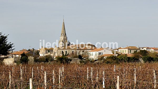 Photo 41: An accomodation located in Sainte-Marie-de-Ré on ile de Ré.