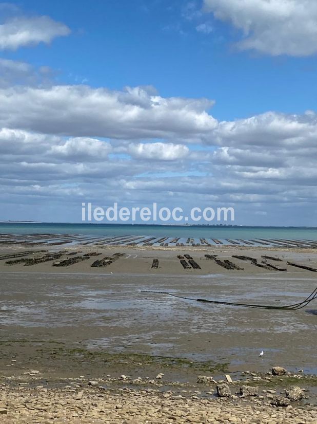 Photo 34: An accomodation located in La Flotte-en-Ré on ile de Ré.