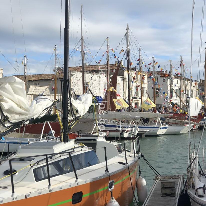 Photo 16: An accomodation located in La Flotte-en-Ré on ile de Ré.