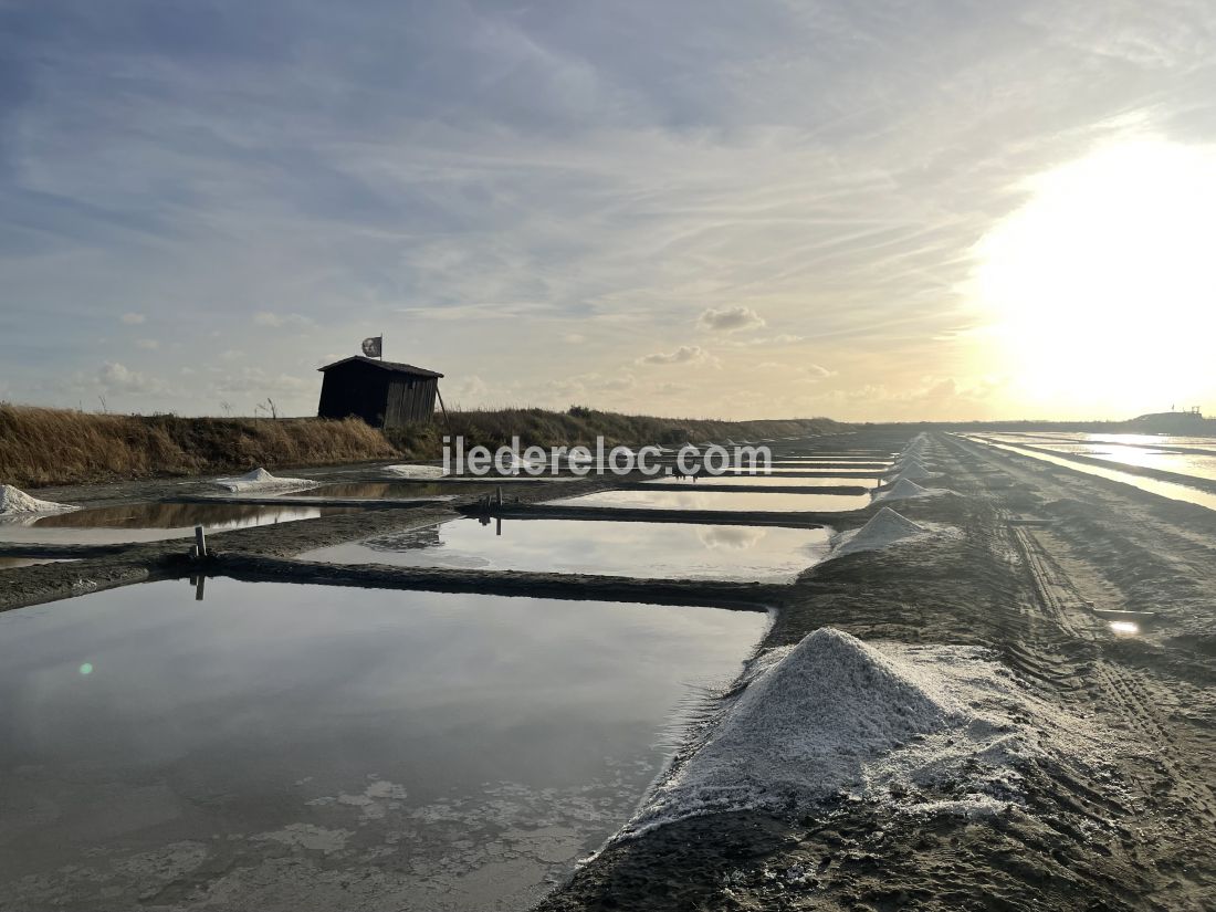 Photo 17: An accomodation located in Loix on ile de Ré.