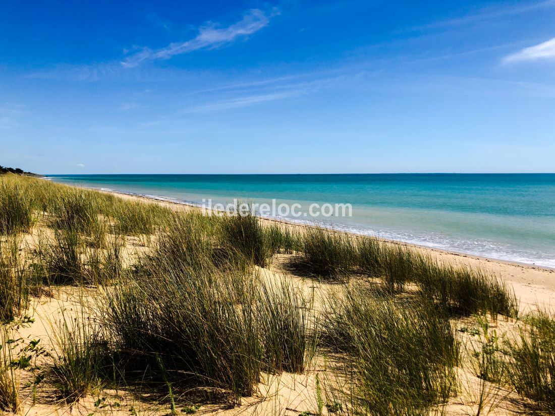 Photo 14: An accomodation located in La Couarde-sur-mer on ile de Ré.