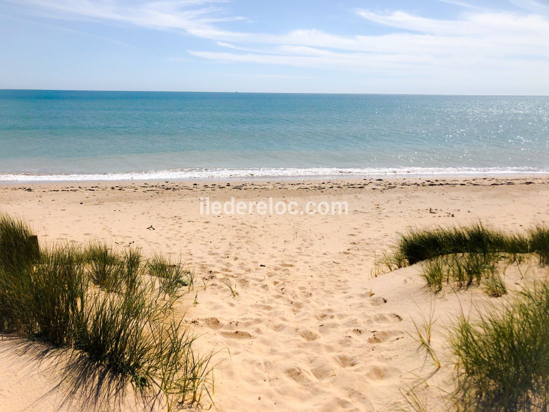 Photo 17: An accomodation located in La Couarde-sur-mer on ile de Ré.