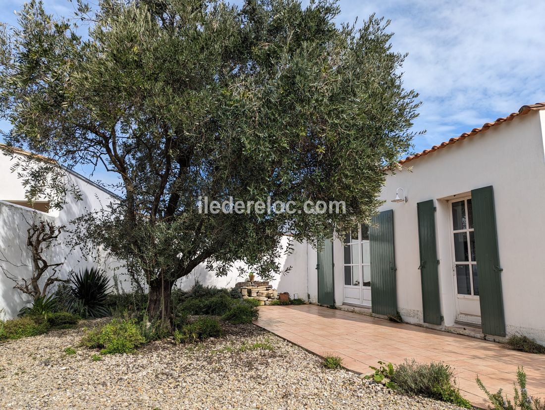 Photo 7: An accomodation located in La Flotte-en-Ré on ile de Ré.