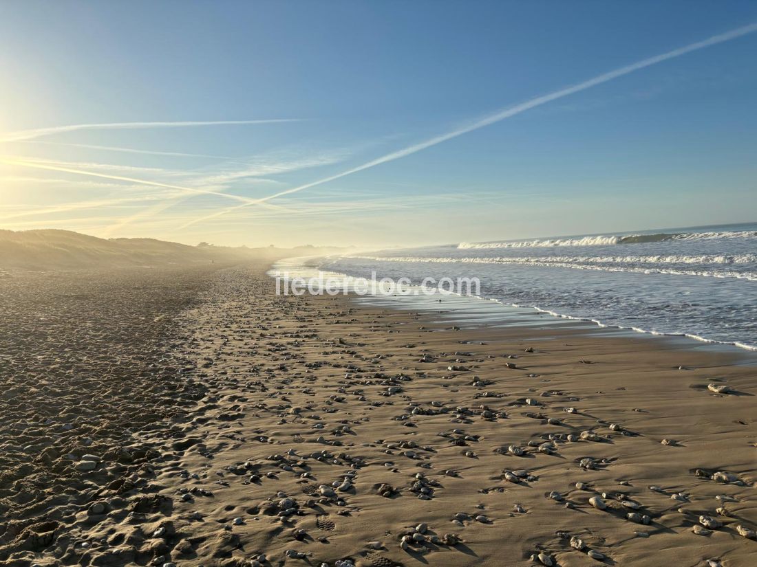 Photo 20: An accomodation located in Le Bois-Plage-en-Ré on ile de Ré.