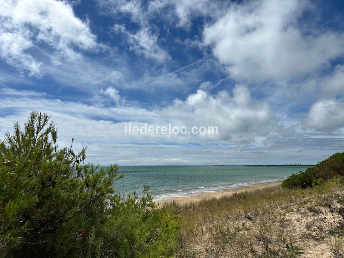 Photo 23: An accomodation located in La Couarde-sur-mer on ile de Ré.