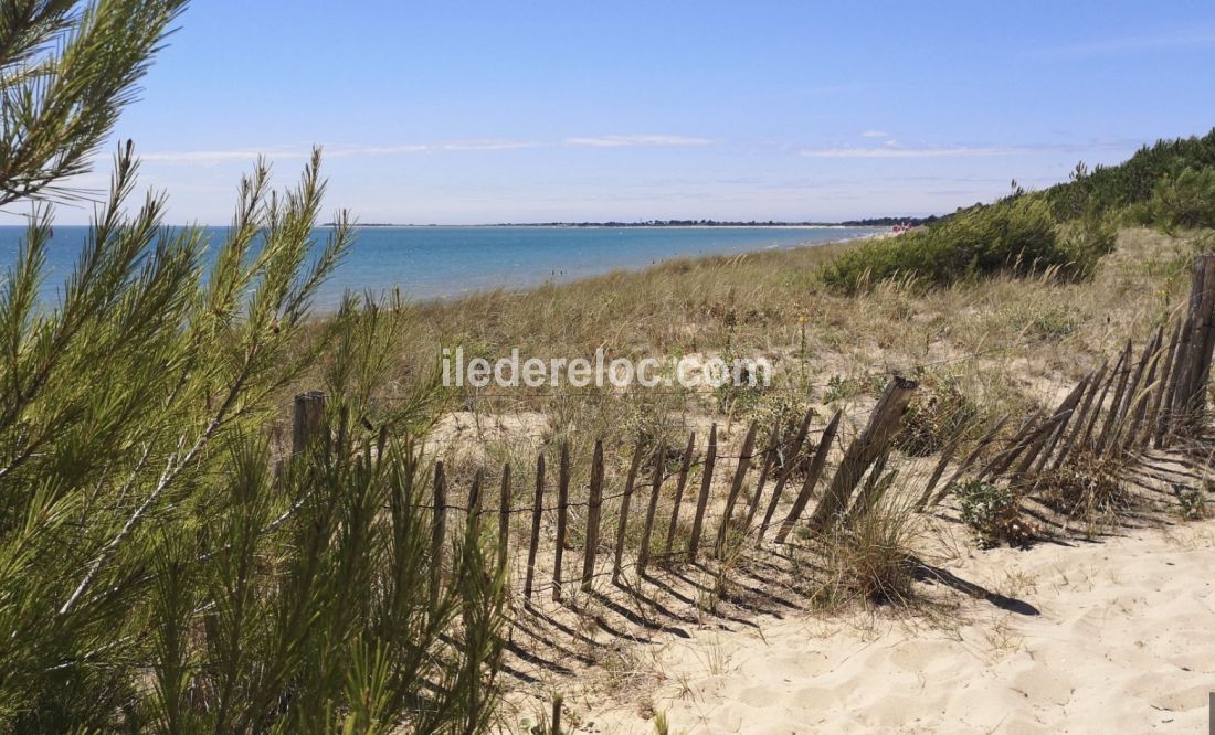 Photo 40: An accomodation located in Sainte-Marie-de-Ré on ile de Ré.