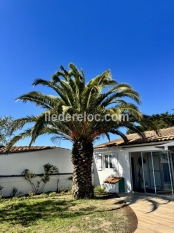 Ile de Ré:The curlew house