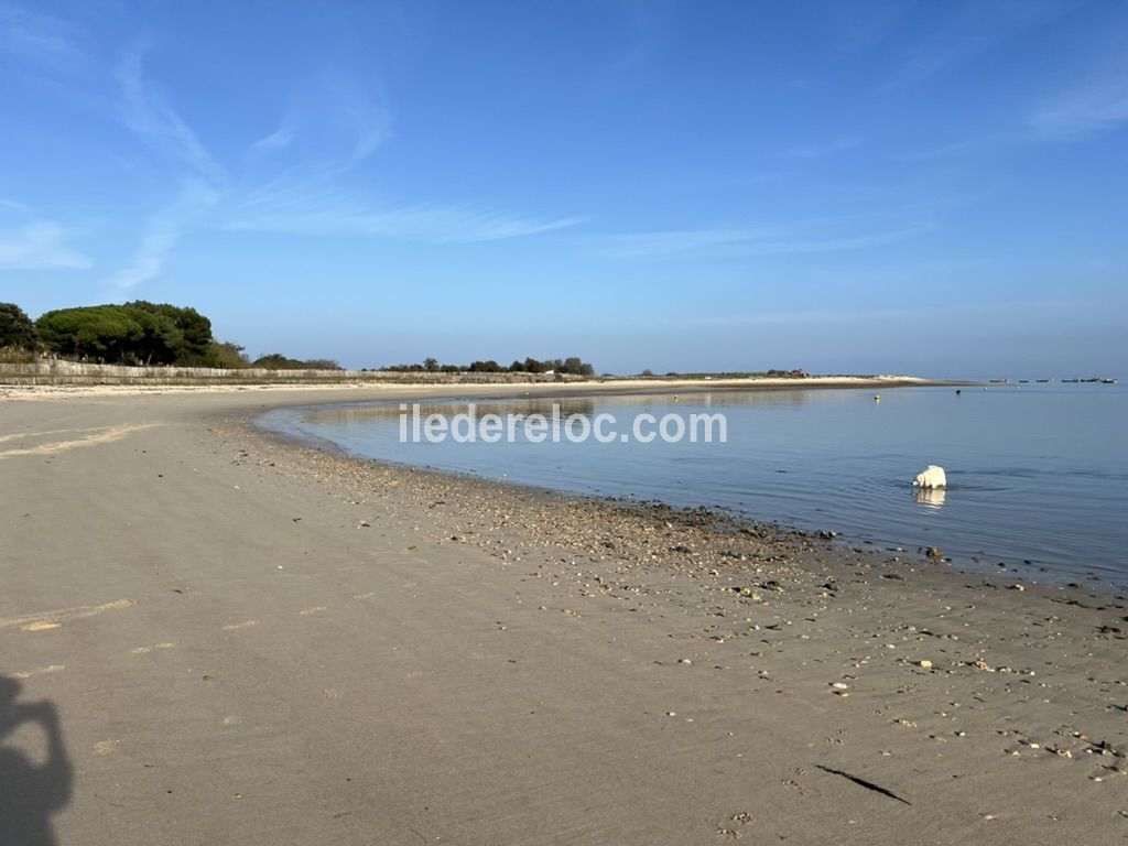 Photo 20: An accomodation located in Loix on ile de Ré.