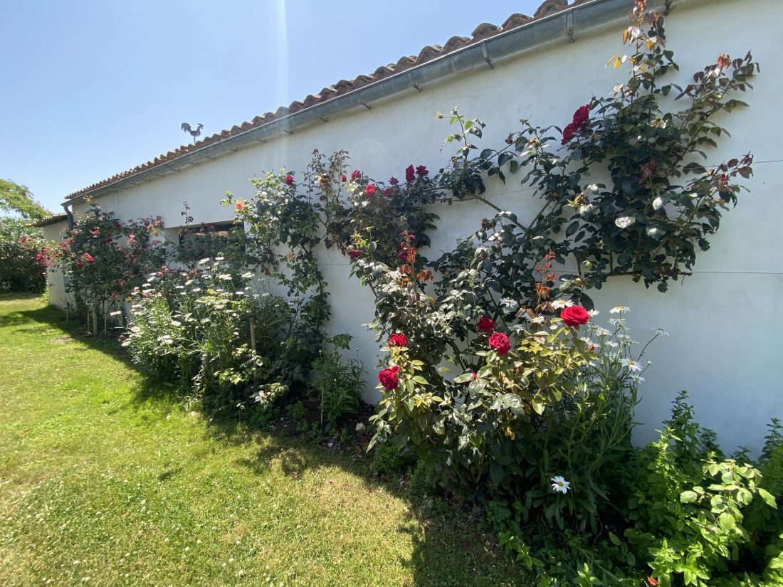 Photo 16: An accomodation located in Ars en Ré on ile de Ré.