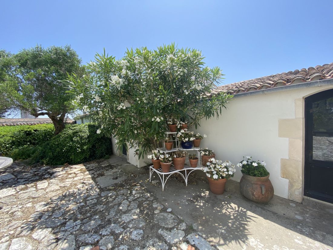 Photo 18: An accomodation located in Ars en Ré on ile de Ré.