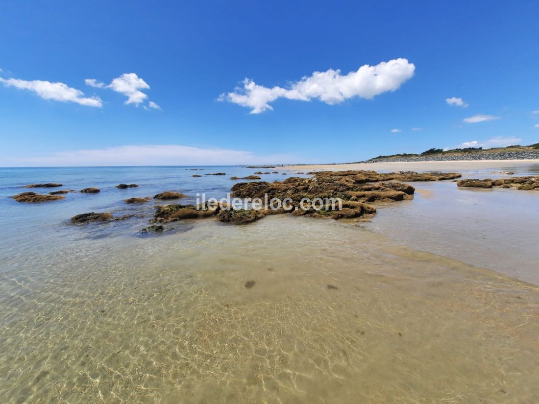 Photo 13: An accomodation located in La Couarde-sur-mer on ile de Ré.