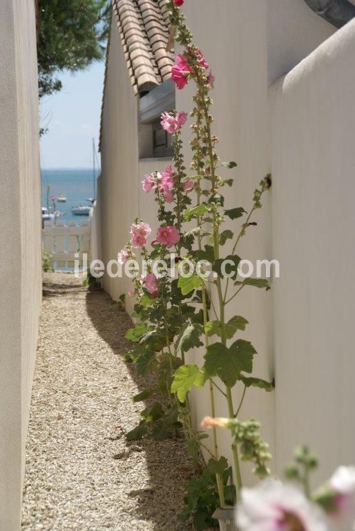 Photo 17: An accomodation located in Rivedoux-Plage on ile de Ré.