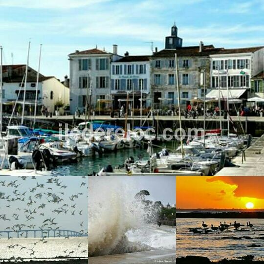 Photo 44: An accomodation located in La Flotte-en-R&eacute; on ile de R&eacute;.