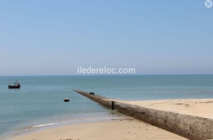 Ile de Ré:Bright house, a stone throw from the beach