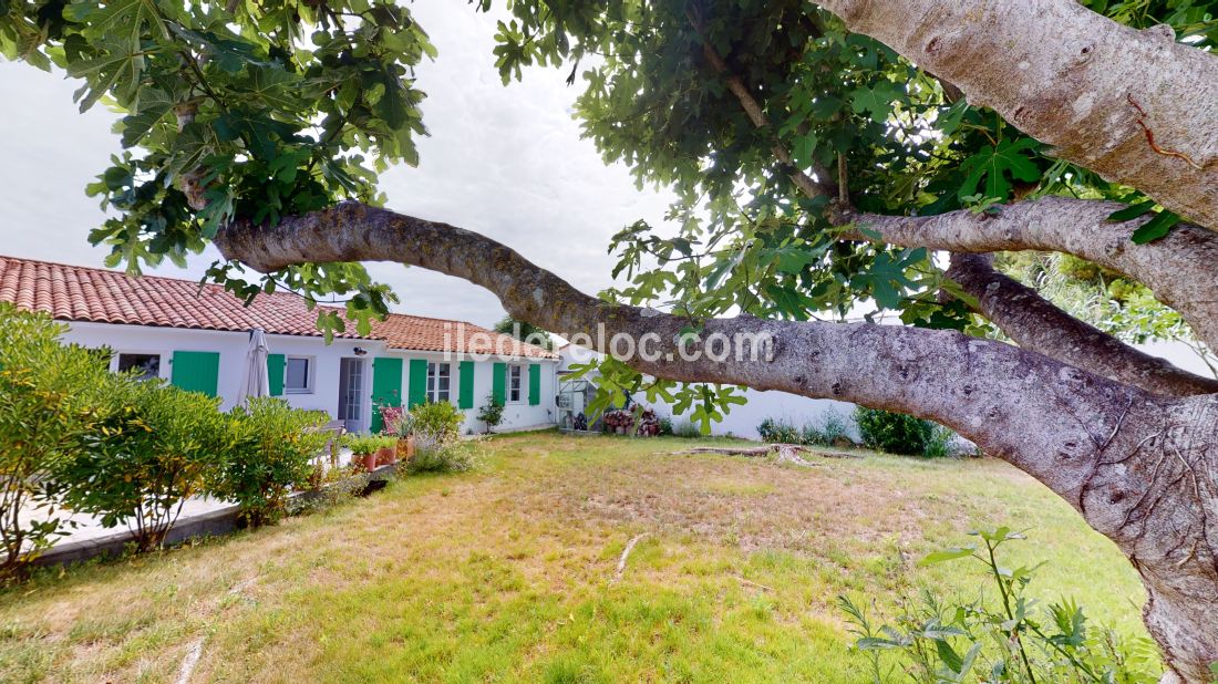 Photo 4: An accomodation located in Ars en Ré on ile de Ré.